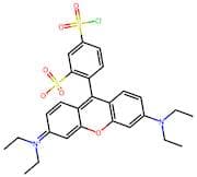 Sulforhodamine B Acid Chloride