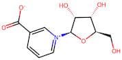 1-((2R,3R,4S,5R)-3,4-Dihydroxy-5-(Hydroxymethyl)Tetrahydrofuran-2-Yl)Pyridin-1-Ium-3-Carboxylate