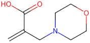 2-(Morpholinomethyl)Acrylic Acid