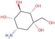 (1S,2S,3R,4S,5S)-5-Amino-1-(Hydroxymethyl)Cyclohexane-1,2,3,4-Tetraol