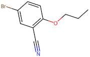 5-Bromo-2-Propoxybenzonitrile