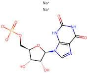 Xanthosine 5'-monophosphate