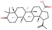 3-Oxolup-20(29)-En-28-Oic Acid