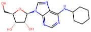 N6-Cyclohexyladenosine