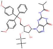 5'-Dmt-3'-Tbdms-Ibu-Rg