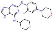 N6-Cyclohexyl-N2-(2-Methyl-4-Morpholinophenyl)-9H-Purine-2,6-Diamine