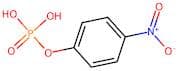Phosphoric Acid Mono-(4-Nitro-Phenyl)Este