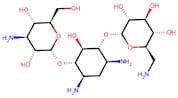 Kanamycin