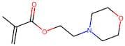 2-Morpholinoethyl Methacrylate