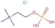 N,N,N-Trimethyl-2-(Phosphonooxy)Ethanaminium Chloride
