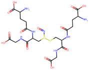 (S)-2-Amino-5-(((R)-1-((Carboxymethyl)Amino)-3-(Nitrosothio)-1-Oxopropan-2-Yl)Amino)-5-Oxopentanoi…