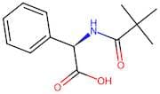 (R)-2-Phenyl-2-Pivalamidoacetic Acid
