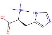 Histidine-Betaine