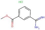Methyl 3-Carbamimidoylbenzoate Hydrochloride