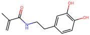 N-(3,4-Dihydroxyphenethyl)Methacrylamide