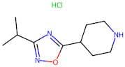 4-(3-Isopropyl-1,2,4-Oxadiazol-5-YL)Piperidine Hydrochloride
