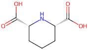 Cis-Piperidine-2,6-Dicarboxylic Acid