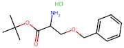 Tert-Butyl O-Benzyl-L-Serinate Hydrochloride