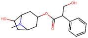 6-Hydroxy-8-Methyl-8-Azabicyclo[3.2.1]Octan-3-Yl 3-Hydroxy-2-Phenylpropanoate