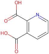 2,3-Pyridinedicarboxylic Acid