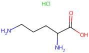 DL-Ornithine Hydrochloride