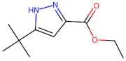 Ethyl 5-(Tert-Butyl)-1H-Pyrazole-3-Carboxylate