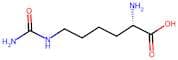 (S)-2-Amino-6-Ureidohexanoic Acid