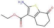 2-Amino-7-Oxo-4,5,6,7-Tetrahydro-Benzo[b]Thiophene-3-Carboxylic Acid Ethyl Ester