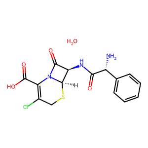 Cefaclor Monohydrate