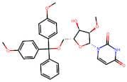5'-O-(4,4'-Dimethoxytrityl)-2'-O-Methyluridine
