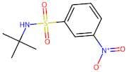 N-(Tert-Butyl)-3-Nitrobenzenesulfonamide
