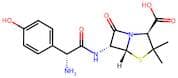 Amoxicillin