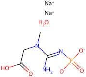 Phosphocreatine Disodium Salt Hydrate