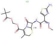 Cefetamet Pivaloylmethyl Ester Hydrochloride