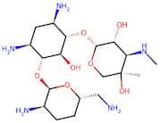 (2R,3R,4R,5R)-2-(((1S,2S,3R,4S,6R)-4,6-Diamino-3-(((2R,3R,6S)-3-Amino-6-(Aminomethyl)Tetrahydro-2H…