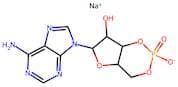 Cyclic AMP Sodium