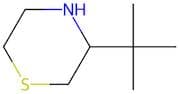 3-(Tert-butyl)thiomorpholine