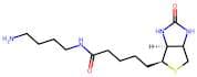 Biotin-C4-amide-C5-NH2