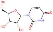 1-(a-D-ribofuranosyl)uracil