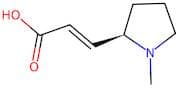 (R,E)-3-(1-Methylpyrrolidin-2-yl)acrylic acid
