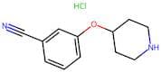 3-(Piperidin-4-yloxy)benzonitrile hydrochloride