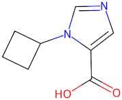 1-Cyclobutyl-1H-imidazole-5-carboxylic acid