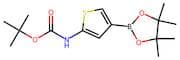 1,1-Dimethylethyl [4-(4,4,5,5-tetramethyl-1,3,2-dioxaborolan-2-yl)-2-thienyl]carbamate