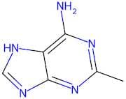 2-Methyl-6-aminopurine
