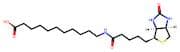 (+)-Biotin-SLC