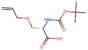 N-Boc-O-allyl-L-serine