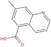 7-Methyl-5-quinolinecarboxylic acid