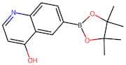 6-(4,4,5,5-Tetramethyl-1,3,2-dioxaborolan-2-yl)quinolin-4-ol