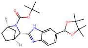 (1R,3S,4S)-tert-Butyl 3-(6-(4,4,5,5-tetramethyl-1,3,2-dioxaborolan-2-yl)-1H-benzo[d]imidazol-2-yl)…