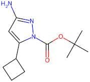 PROTAC CDK9-binding moiety 1